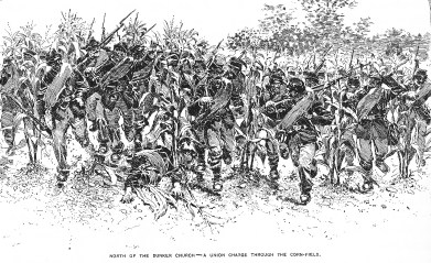 Union-Advance-Antietam-Cornfield