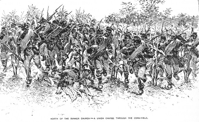 Union-Advance-Antietam-Cornfield